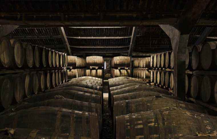 Wine ticket: Dalmore, over 180 years of know-how