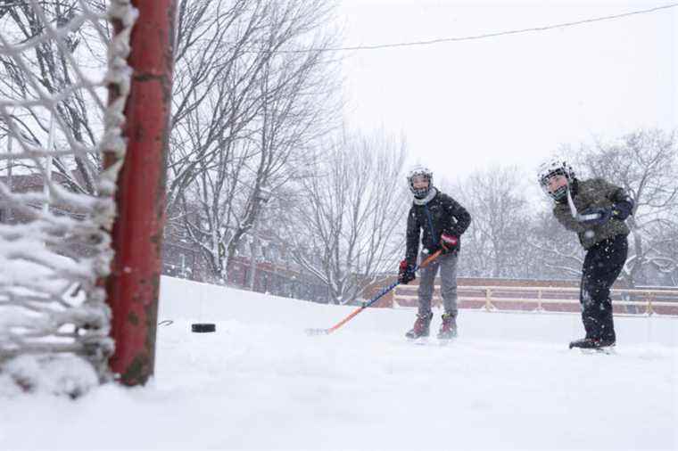 Winter at last!  |  Press