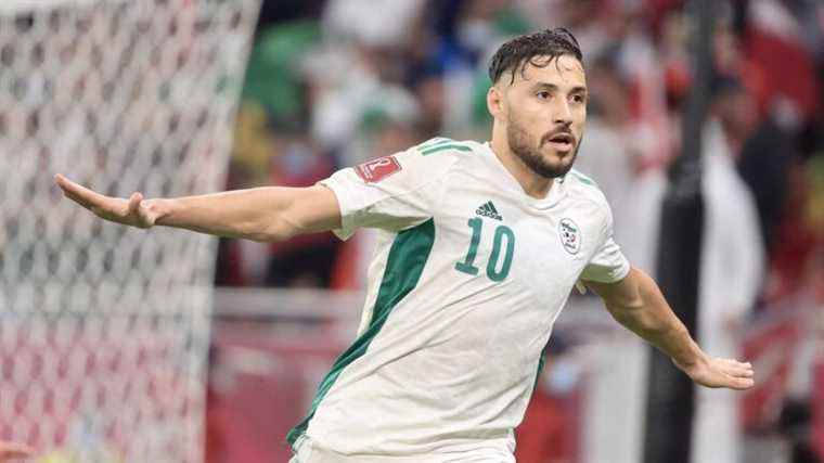 Youcef Belaïli, the other star of Algeria with an eventful career