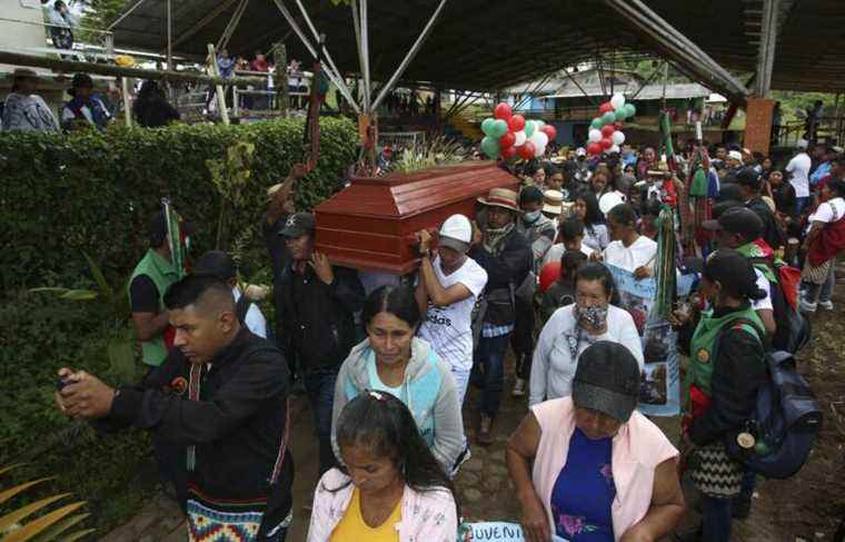 Young indigenous environmentalist shot dead in Colombia