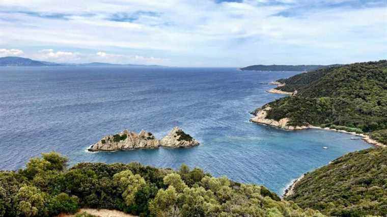 a “very invasive” red algae discovered in the Var