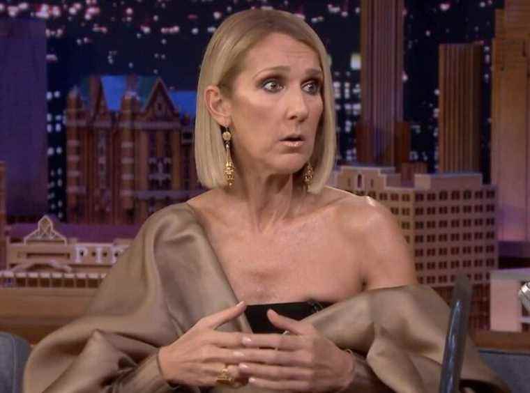 after the revelations about her state of health, Celine Dion’s cry from the heart on Instagram