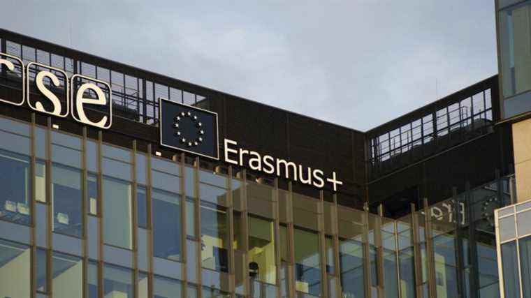 close-up on Erasmus for young entrepreneurs