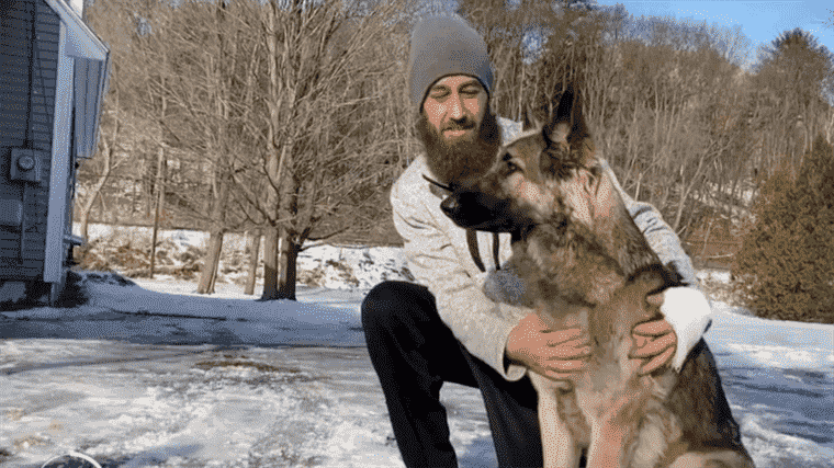 female dog saves her master after a car accident