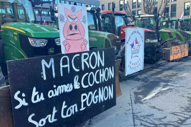 “in the red”, pig farmers in convoy to the Côtes-d’Armor prefecture