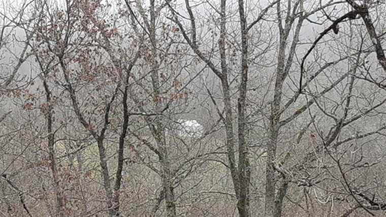 investigators search a wood below the farm