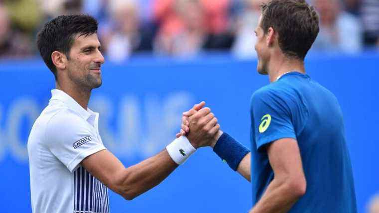 “mess”, lack of “support” from other players, “political agenda” … The circuit reacts to the expulsion of Djokovic