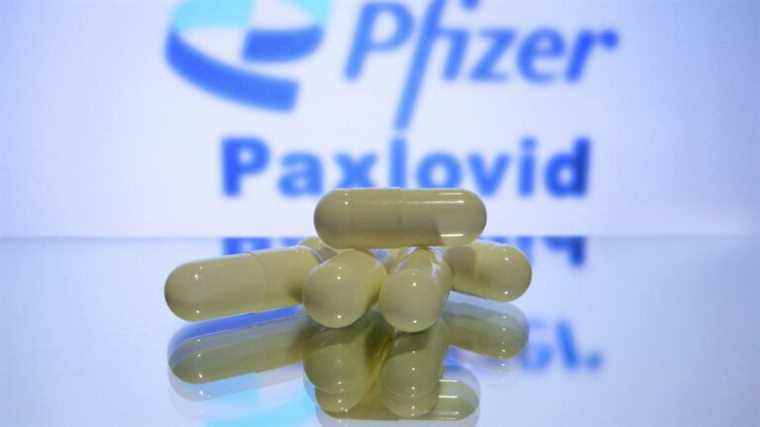 the antiviral Paxlovid authorized as a treatment by the High Authority for Health