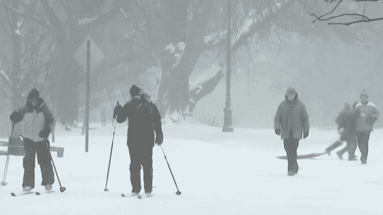 the coast is paralyzed by a snowstorm