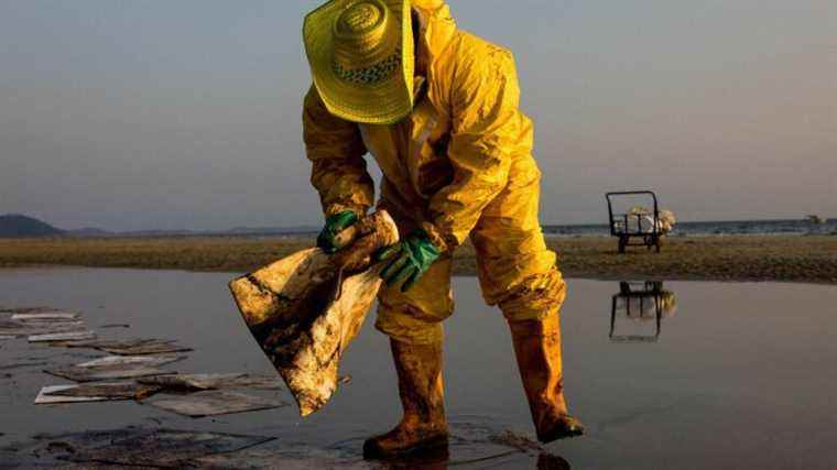 the coastline affected by an oil spill after an underwater oil pipeline leaked