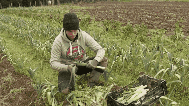 the municipality produces its fruit and vegetables for the canteens of three crèches