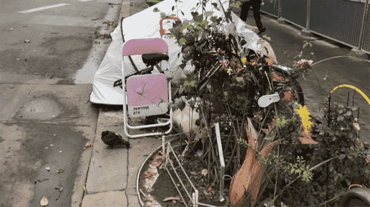 the town hall announces the end of the vegetated tree pits