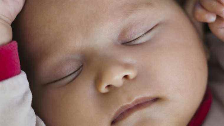 there is a link between gut bacteria and babies’ sleep