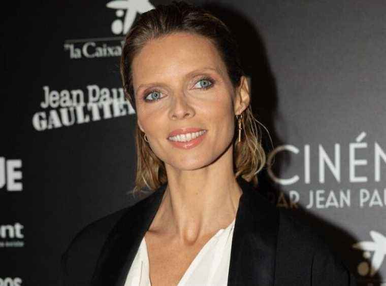 this remark on her teeth that Sylvie Tellier did not miss!