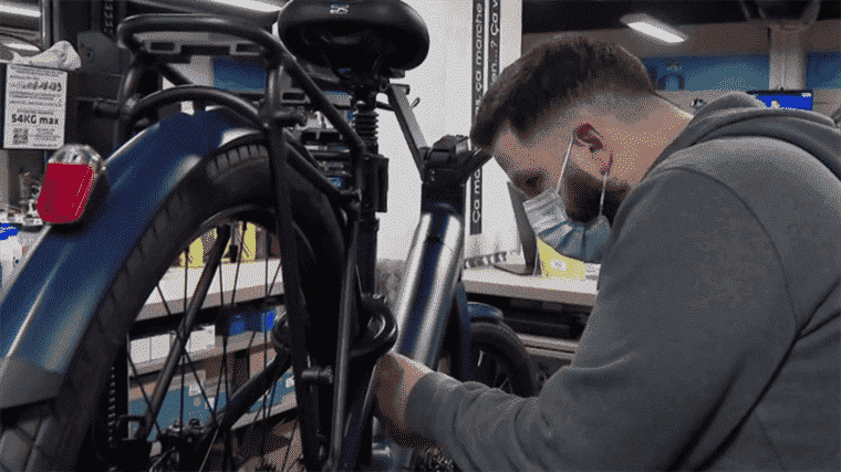 volunteer investigators help victims find their stolen bikes