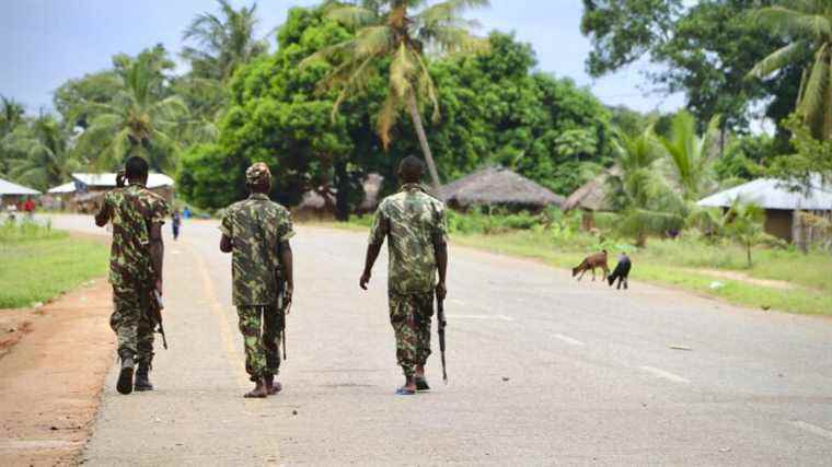 why and how the jihadists established themselves in the Cabo Delgado region