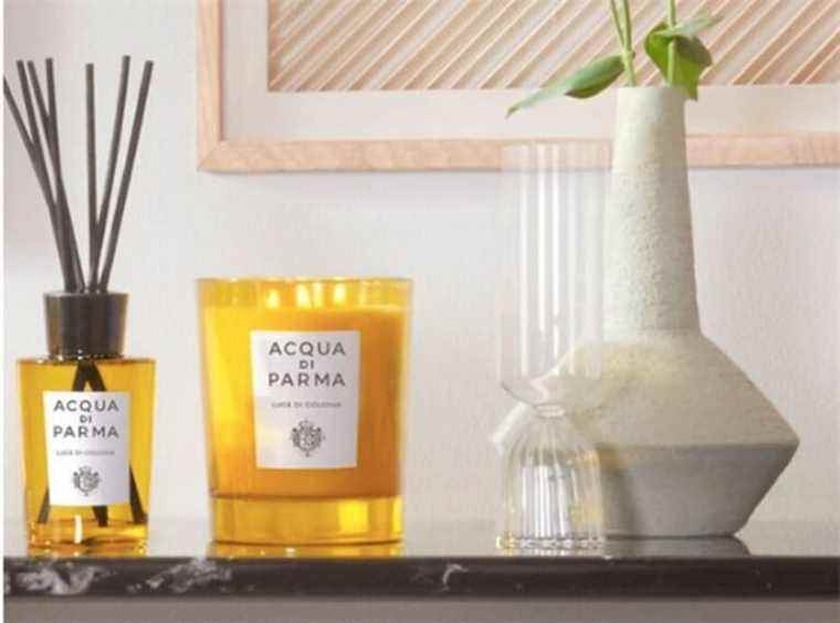 zoom on the best scented candles to illuminate your interior