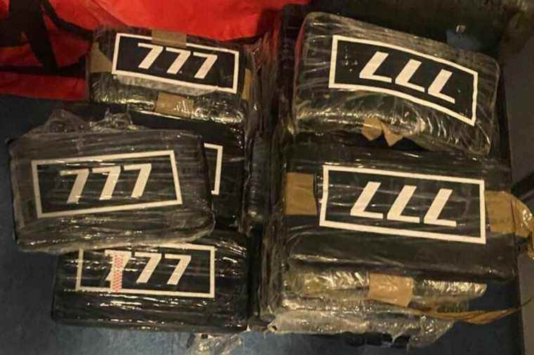 514 kg of cocaine, a record seizure in the port of Marseille by customs officers