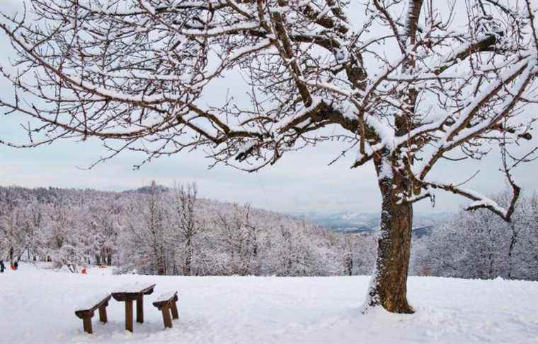 A Guide to Winter Picnics for Outdoor Enthusiasts