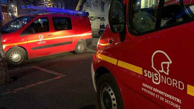 A dog saved by firefighters in Sin-le-Noble, near Douai