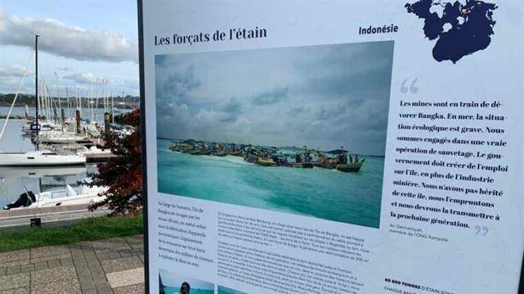 AMER, the exhibition that warns of the poor health of the ocean