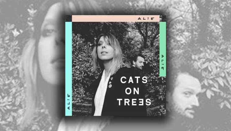 “Alie” by Cats On Trees, titles with strong and catchy melodies