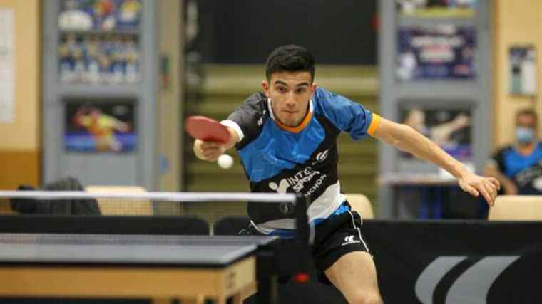 Argentinian table tennis player Horacio Cifuentes and Amiens continue to advance “without pressure”