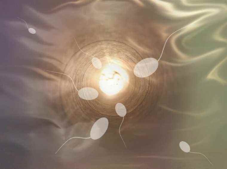 At 18, a student from Colorado suffers from an allergy … to sperm