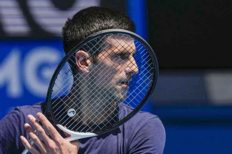 Australian Open |  Djokovic’s COVID-19 tests were ‘valid’