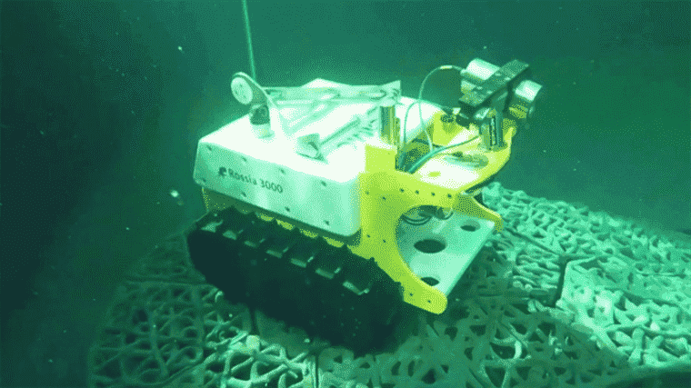 Bathybot: a special robot for exploring the seabed