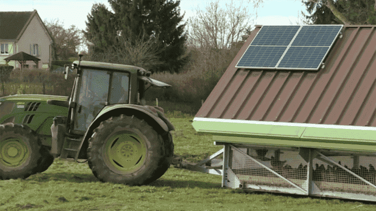 Breeding: a mobile and autonomous chicken coop