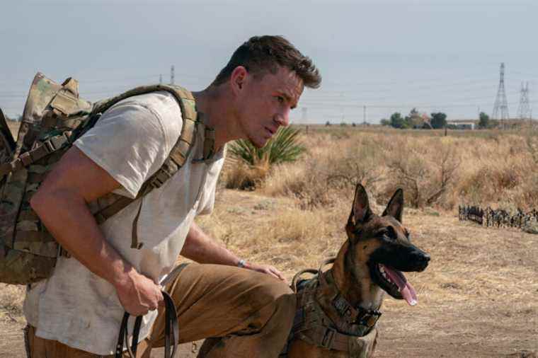 Channing Tatum and Dog |  A man and his dog