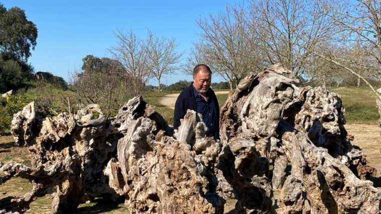 Chinese artist and dissident Ai Weiwei talks to us about his autobiography at his home in Portugal