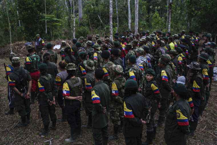 Colombia |  At least a hundred minors recruited by armed groups since 2020