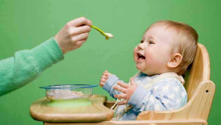 Cooking for babies: small pots and small dishes: Marie Chioca author, creator and culinary photographer