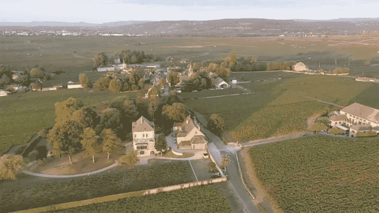 Côte-d’Or: winegrowers worried about rising prices for their land