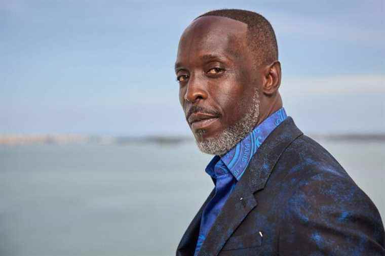 Death of actor Michael K. Williams |  Four drug dealers arrested in New York