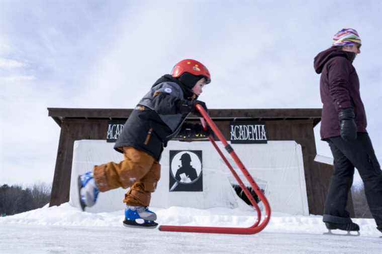 Detective on skates at the Labonté orchard