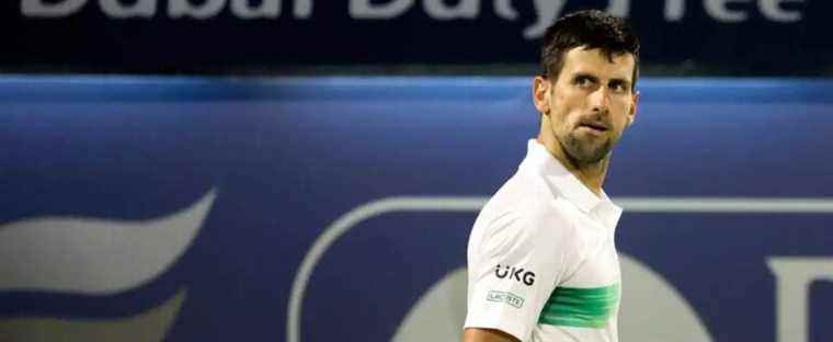 Djokovic dethroned by Medvedev |  The Journal of Montreal