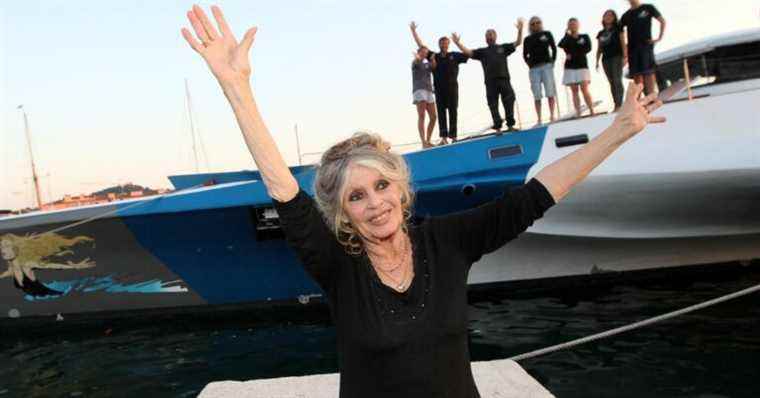 Dominique Tapie ruined: Brigitte Bardot to the rescue