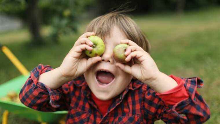 “Eat apples!”  as the other said…