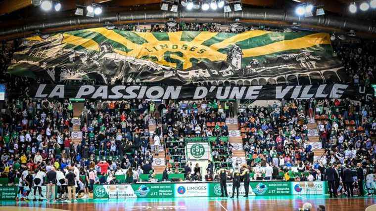 Elite J17: Limoges CSP dominates Pau-Orthez and finds a taste for victory