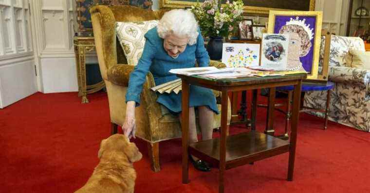 Elizabeth II surprising: the queen embarks on an unexpected business!