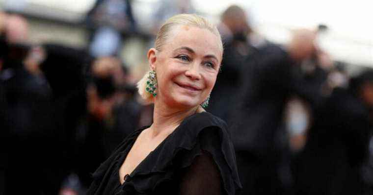 Emmanuelle Béart, fulfilled mother: rare family photo, her youngest has grown up!