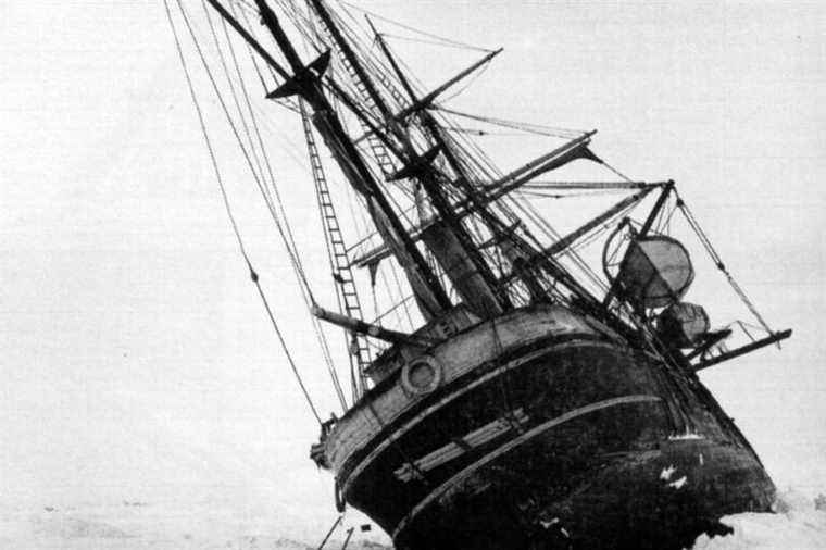 Explorer Ernest Shackleton’s ship |  An Antarctic expedition in search of a historic wreck