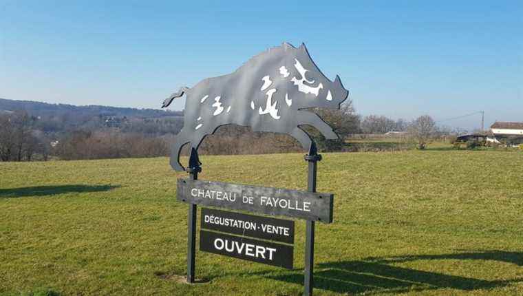 Fayolle Castle in Saussignac