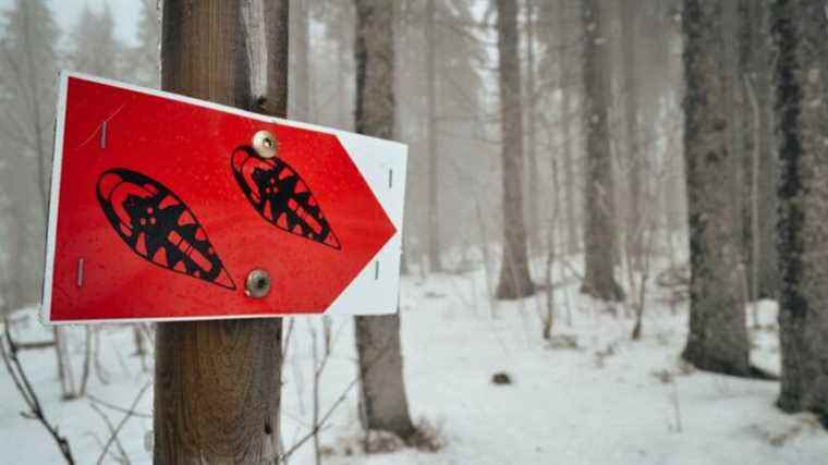 Feet in the snow – Program on France Bleu Saint-Étienne Loire