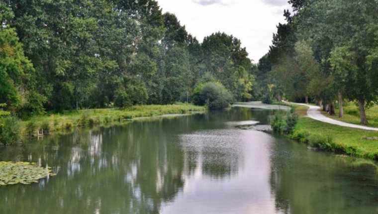 Fishing for carp at night on the Boutonne