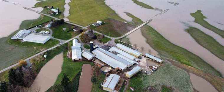 Floods in British Columbia: Nearly $230 million for farmers