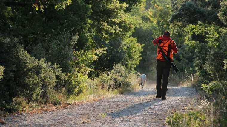 France Nature Environnement “requests a ban on hunting one day a week”